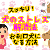 犬 ストレス 解消